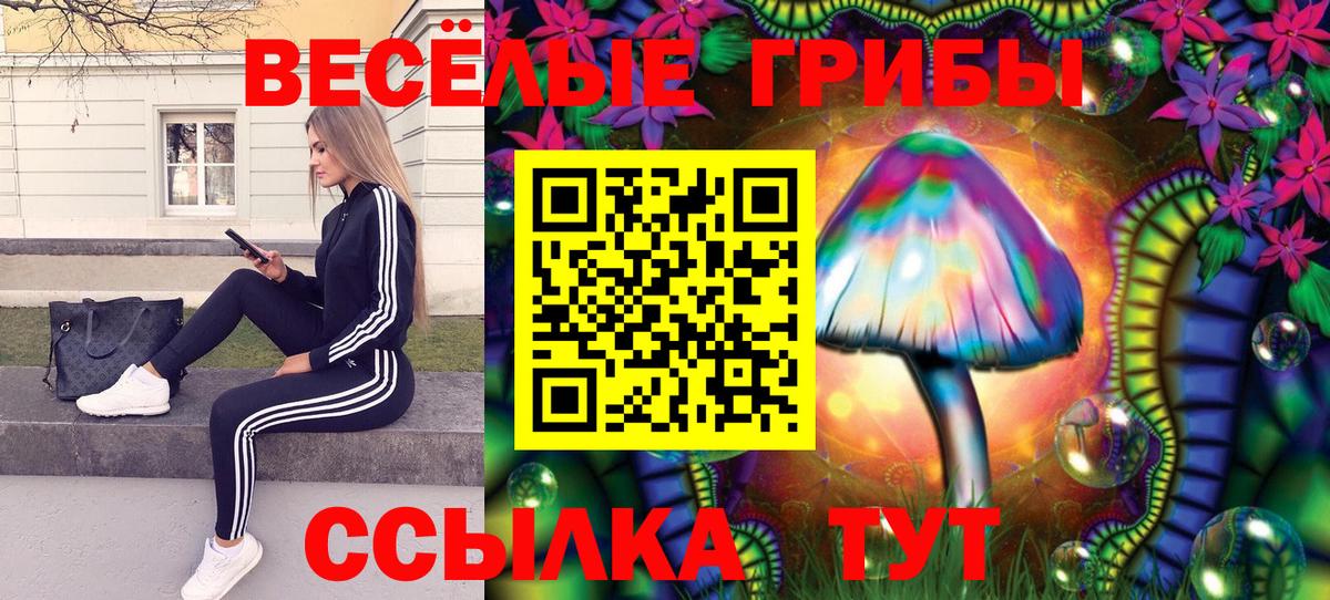 Лосино-Петровский  Псилоцибиновые грибы Psilocybine cubensis  Вход с VPN 